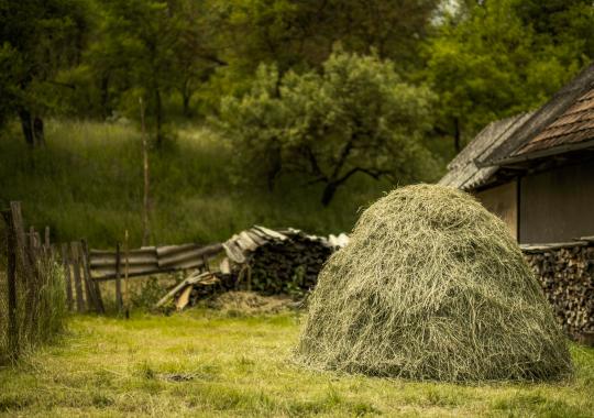 Caritas skelbia 6-ąją paramos Ukrainai kampaniją 30-yje Lietuvos...
