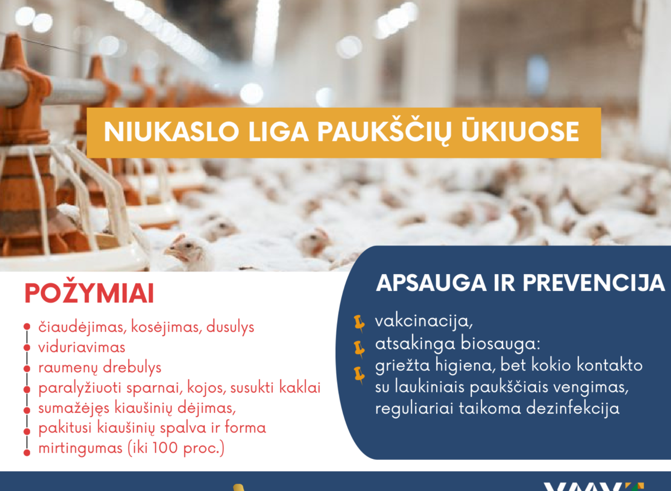 Niukaslo liga paukščių ūkiuose požymiai apsauga ir prevencija