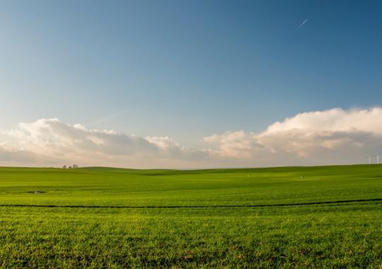 Tręšiamųjų produktų naudotojai nuo rugsėjo 1 d. turi pildyti elektroninį...