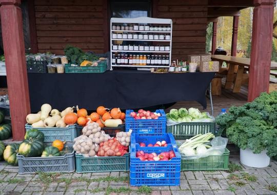 Ūkininkus pasieks beveik 300 mln. Eur avansinių išmokų 