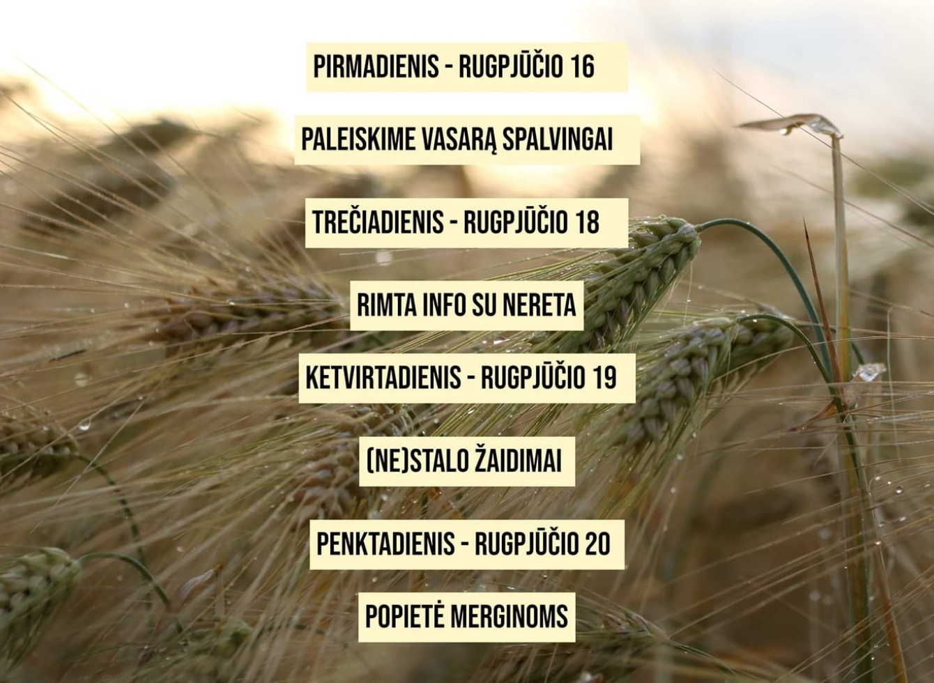 VšĮ Jaunimo laisvalaikio centro 08.16-08.20. savaitės veiklos