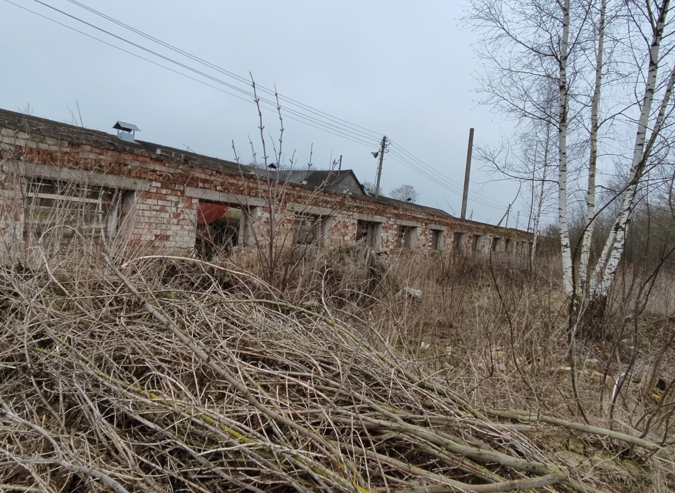 Tvarto liekanos tarp Sarosčių 40 ir 44