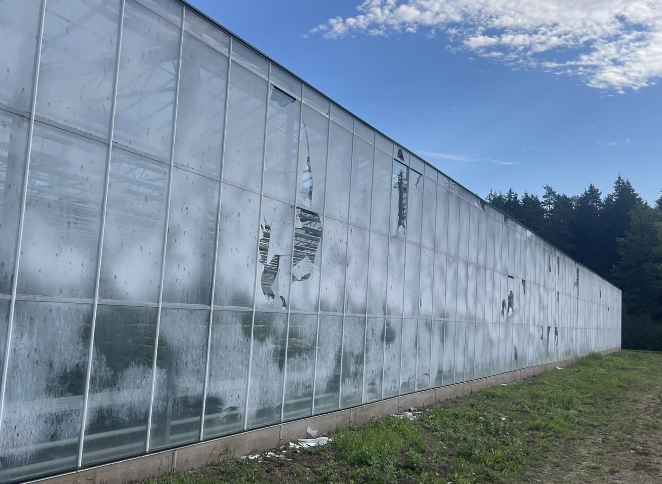 Didžiausią žalą patyrė Veprių seniūnijoje, Barboriškio kaime, esantis Olisevičių gėlininkystės ūkis.