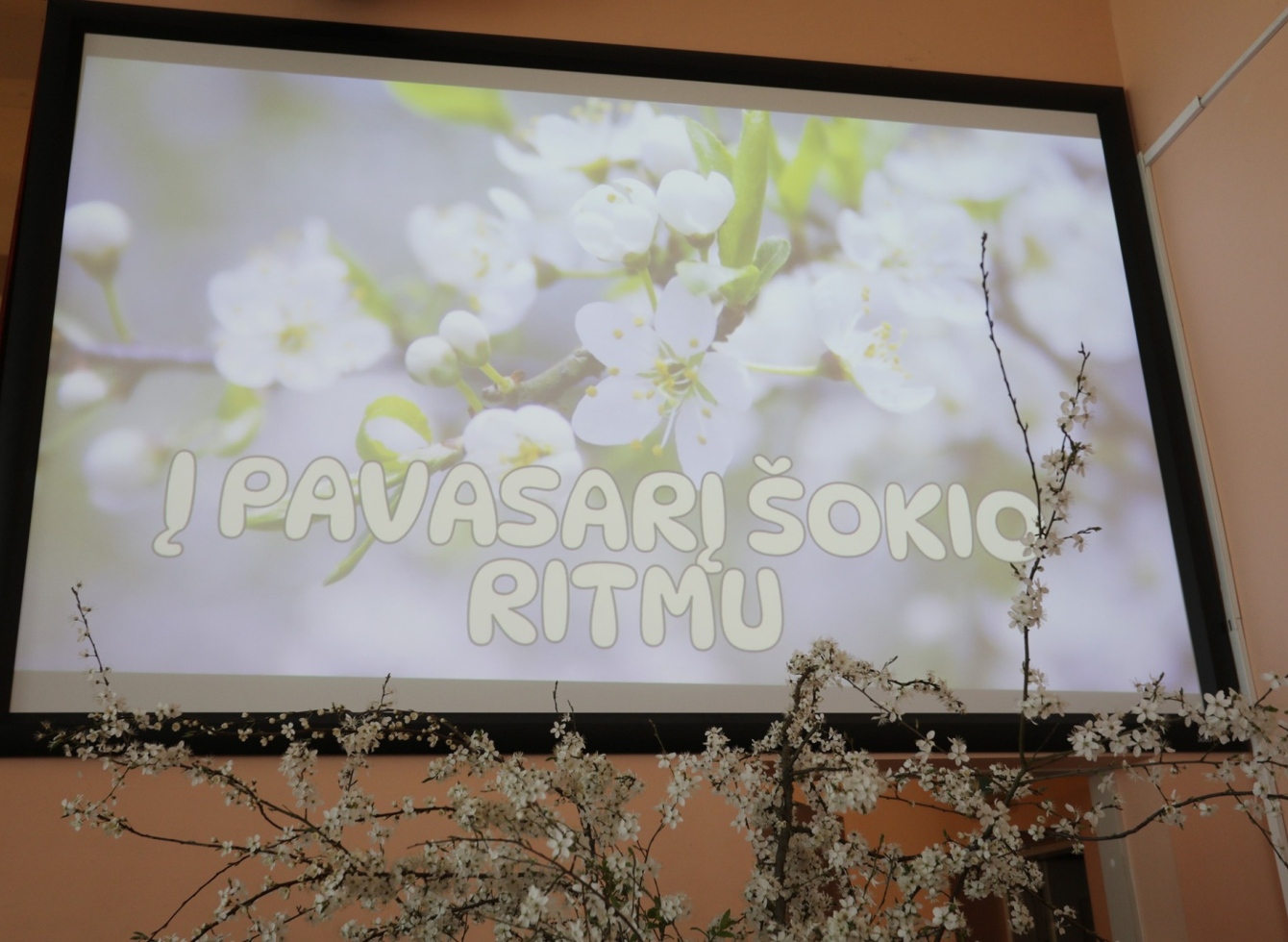Liaudiškų šokių festivalis