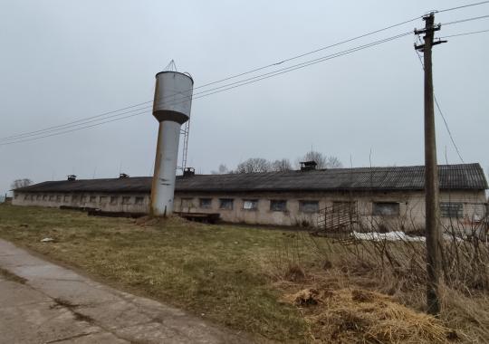 „Ne metodinis“ Ukmergėje: kai pradinukai mokosi gyvenimo, o mokytojai –...