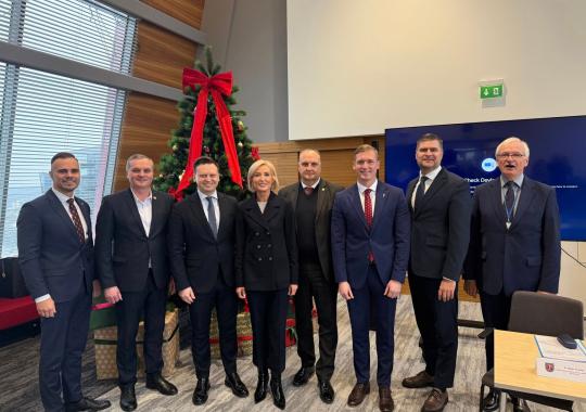 Kalėdų tradicija tęsiasi: miškininkai nemokamai dalins eglių ir pušų šakas 