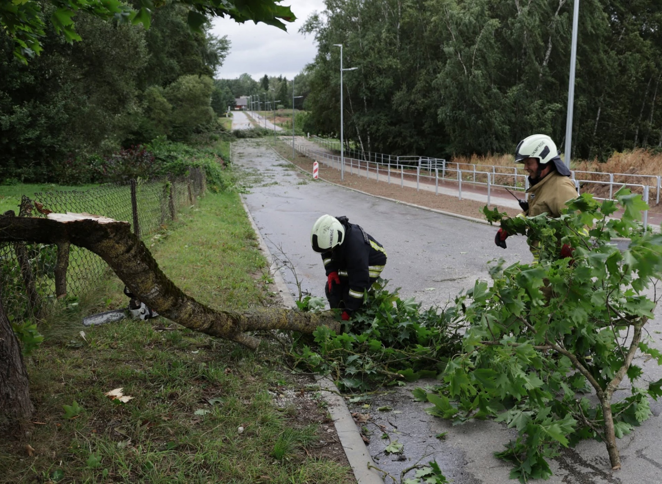 Šeštadienį Lietuvą ir Ukmergės rajoną užklupęs uraganinis vėjas paliko daugybę padarinių