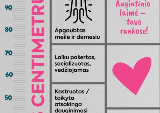 Krašto apsaugos savanorių pajėgų pratybos „Tvirtas skydas 8“ Ukmergės...