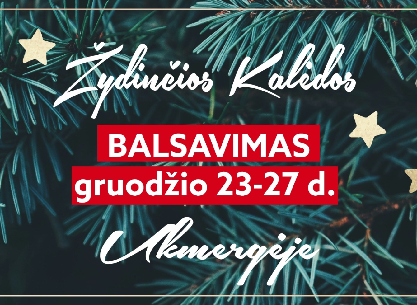 Išrinkite puošybos konkurso „Žydinčios Kalėdos“ nugalėtojus