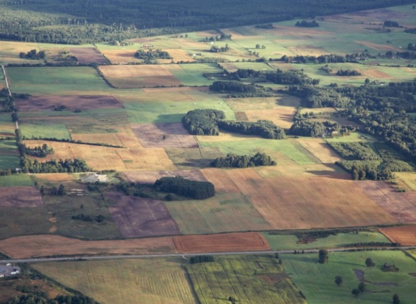 Pradedamas žemės plotų deklaravimas