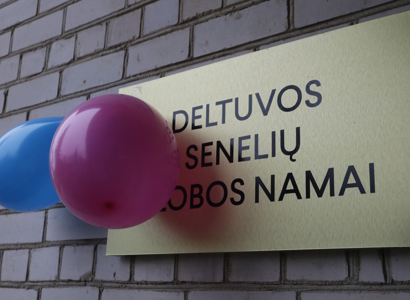 VšĮ Deltuvos senelių globos namų 30 metų sukakties paminėjimo šventė