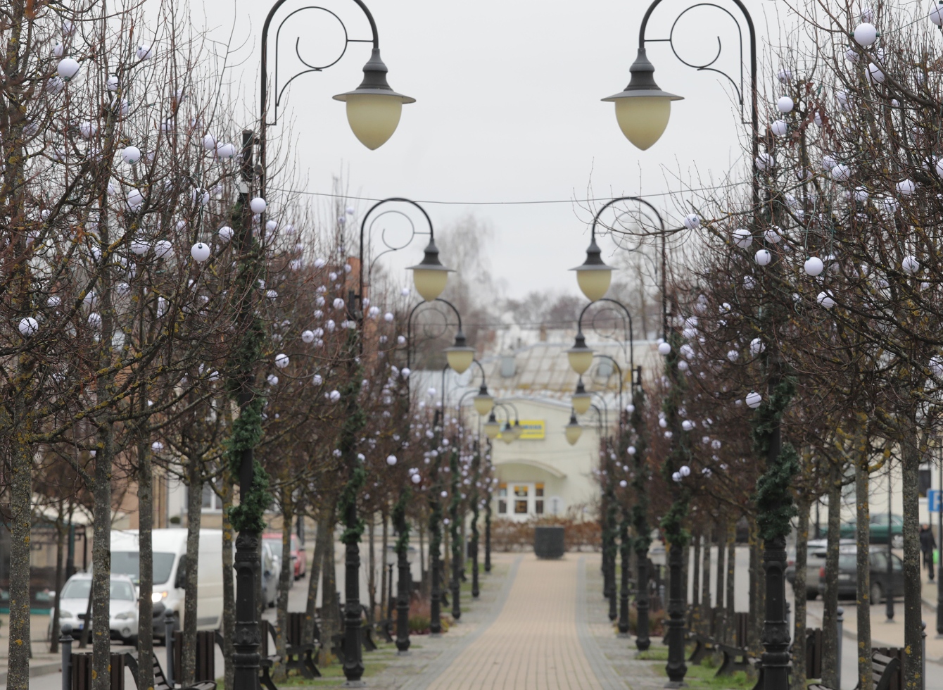 Papuošta Vienuolyno alėja