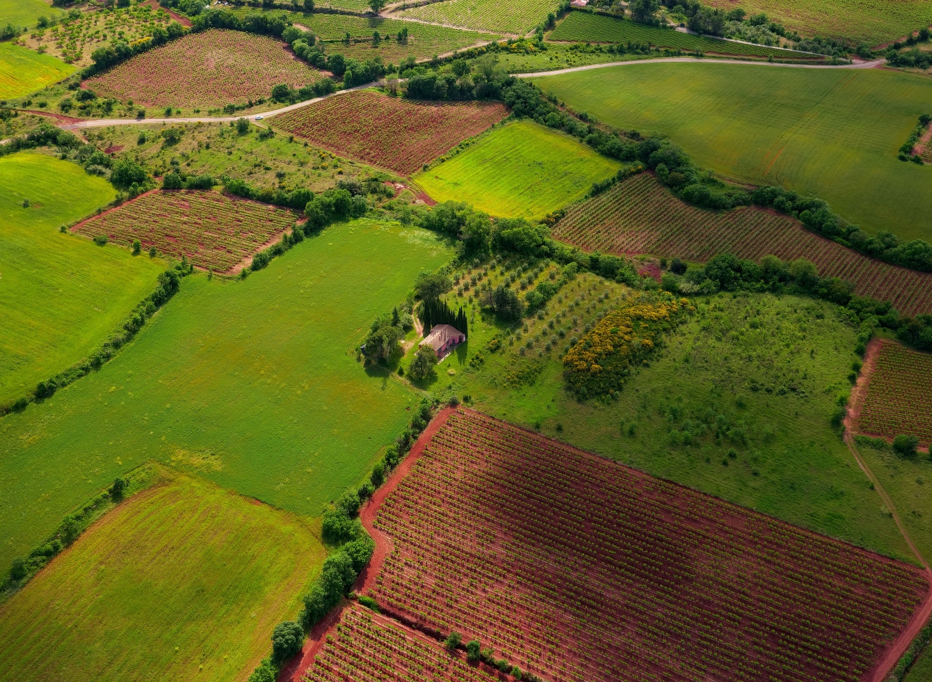 žemė