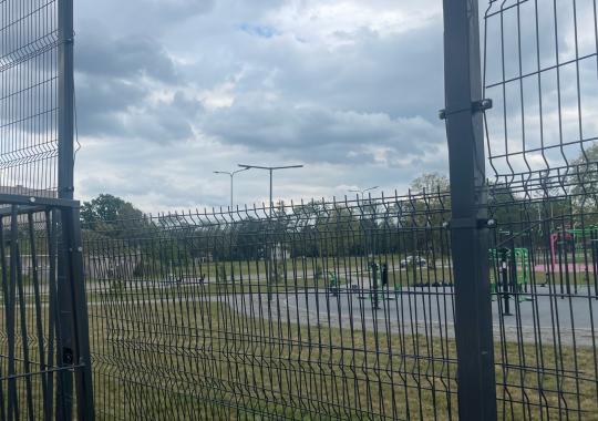 Specializuota vokiečių aviganių veislės šunų paroda