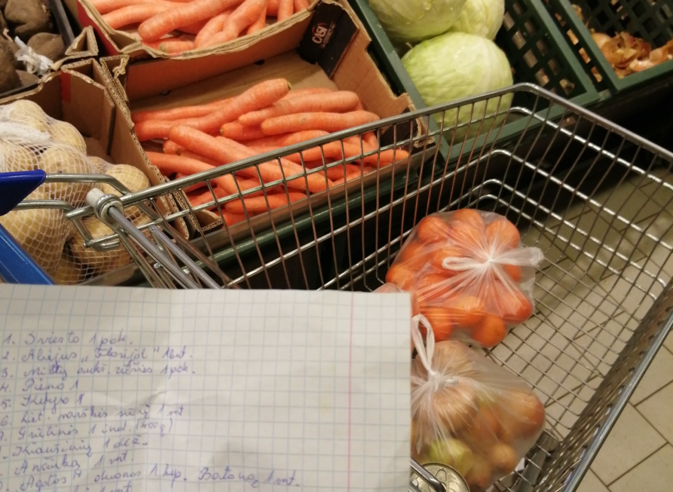 Garbingo amžiaus ukmergiškė džiaugiasi pasinaudojusi savanorių pagalba