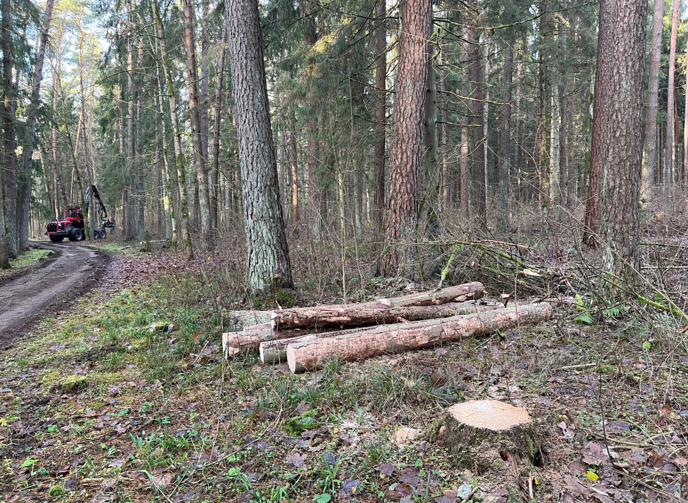 Miškininkai tvarko „Šilo“ sveikatingumo trasą