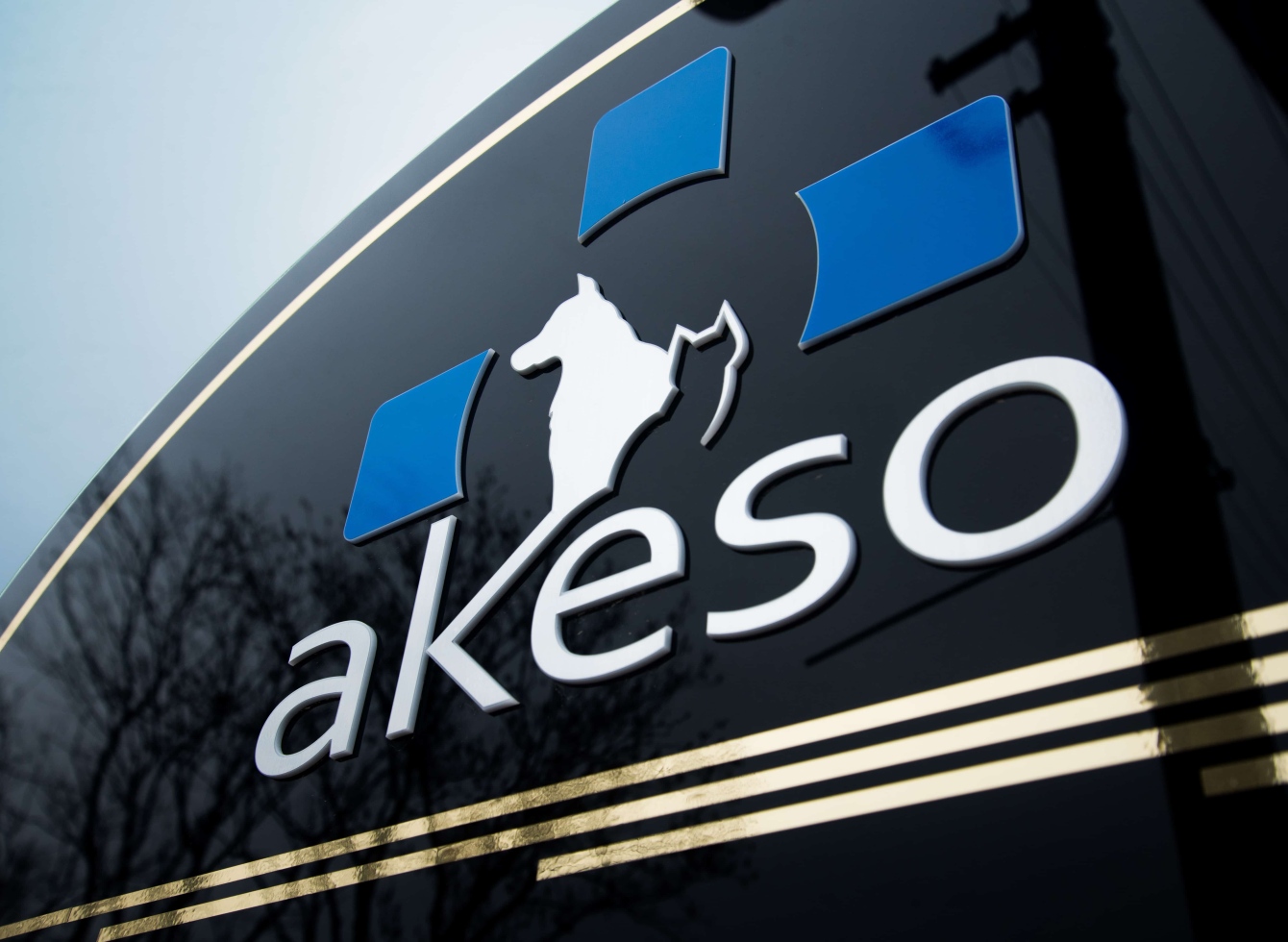 Akeso klinikos pavadinimas