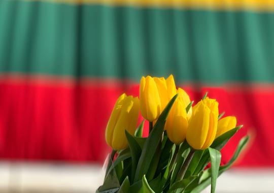 Vasaros stovykla nepaliko abejingų