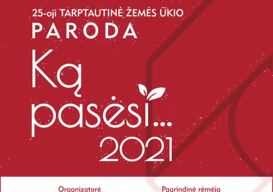 Pagaliau atėjo nauji mokslo metai! Kas naujo, kokie pokyčiai pasitinka...