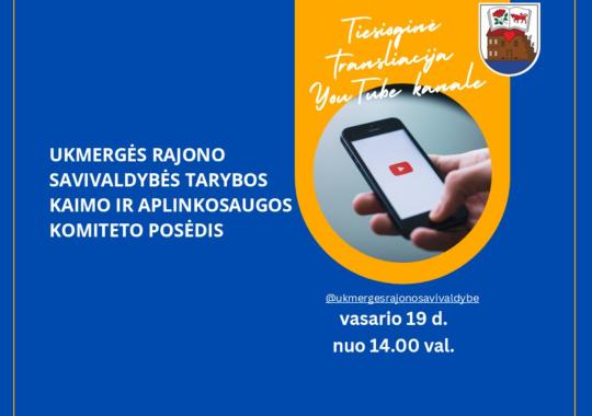 Ukmergės kultūros projektai: apžvalga ir plėtros kryptys