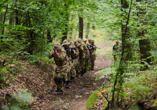 Paukščių gripas vėl Lietuvoje – židinys nustatytas Kaišiadorių rajone 