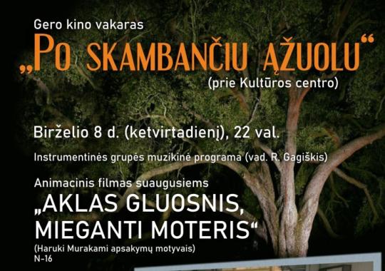 Skelbiamas papildomas kvietimas teikti projektų paraiškas