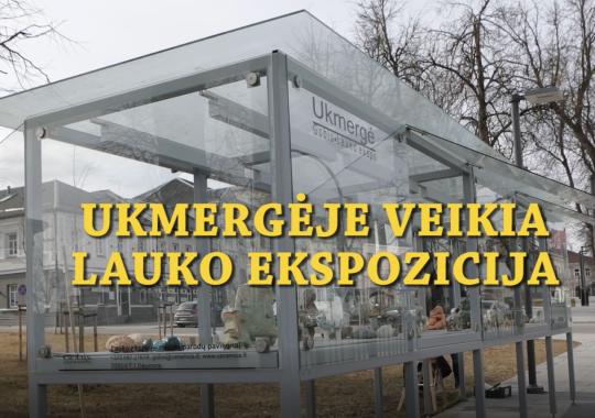 Žiedo gatvėje bus pradėti metalinių garažų, kurių nenusikėlė jų...