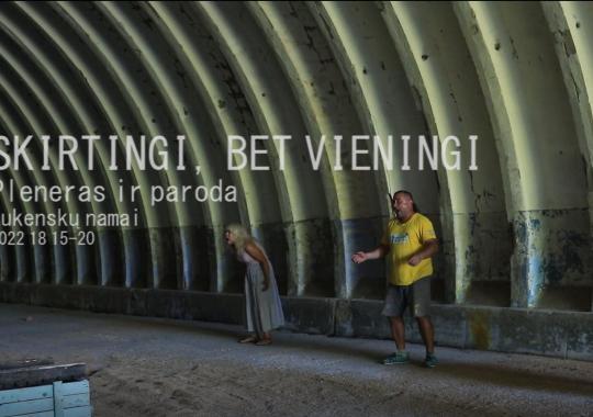 Baltijos kelio minėjimas