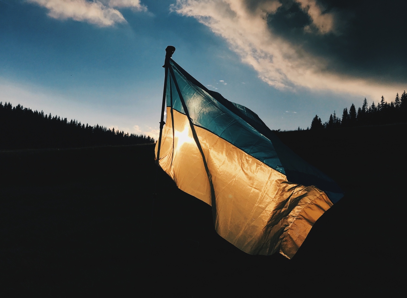 Ukrainos vėliava