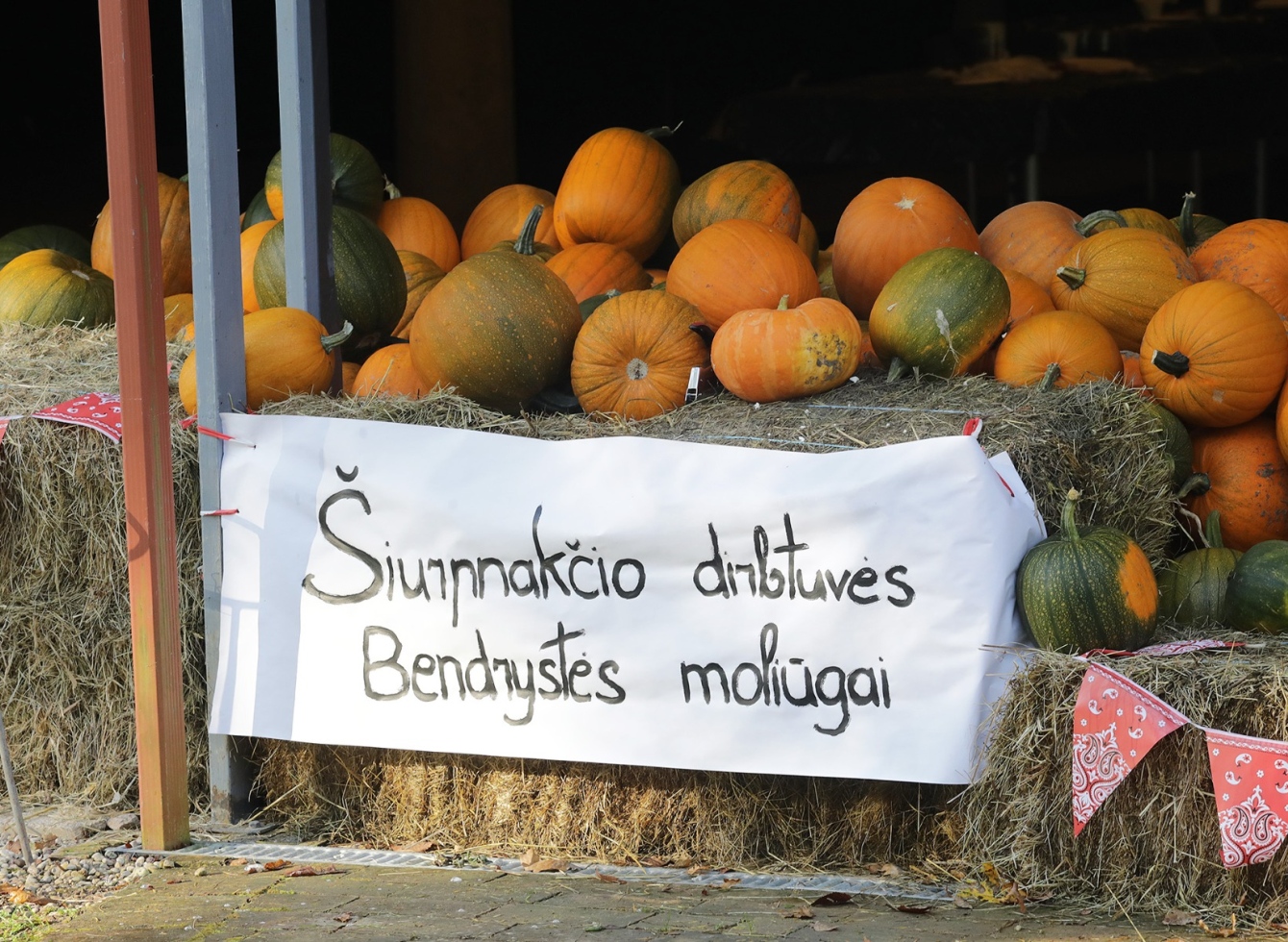 Kūrybinių dirbtuvių „Bendrystės moliūgai“ akimirkos