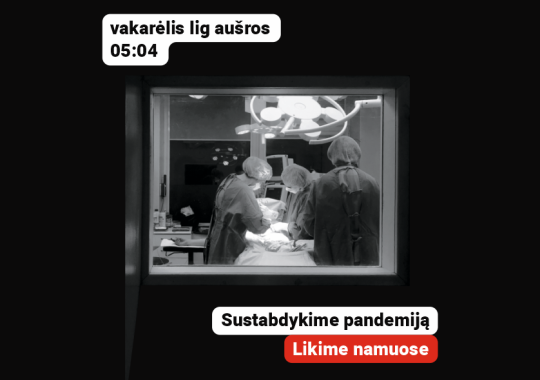 Kontrolės komiteto posėdis