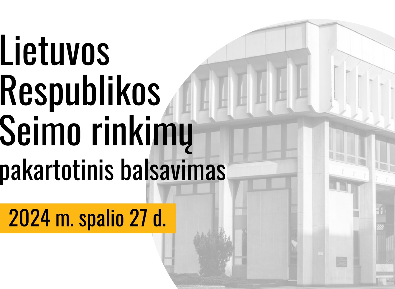 Pakartotinis balsavimas