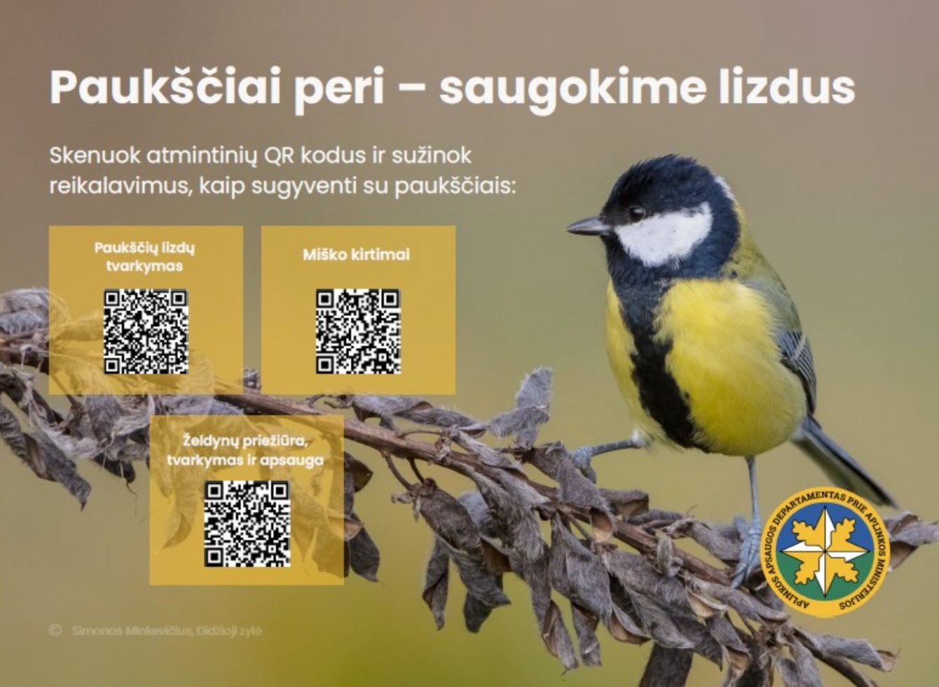 Ką reikia žinoti paukščių perėjimo laikotarpiu