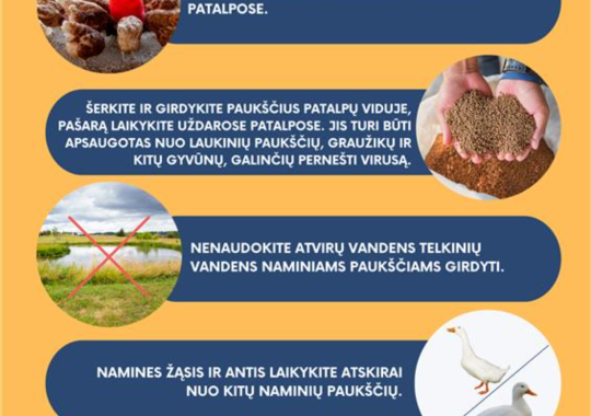 Paukščių gripas vėl Lietuvoje –...