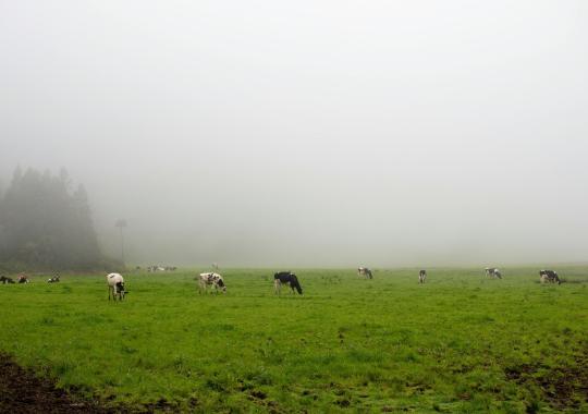 Iki gruodžio 31 d. praneškite apie...