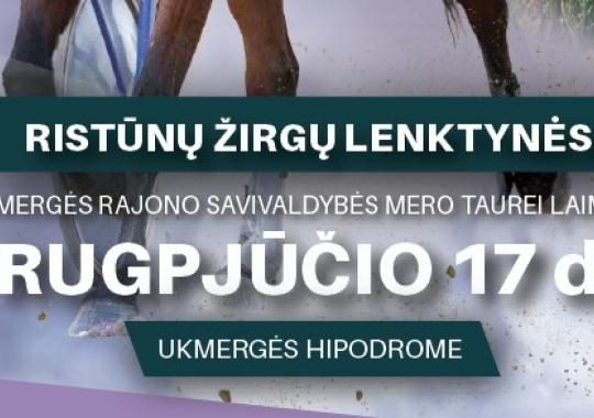 Gyventojų apklausa dėl didelių gabaritų atliekų surinkimo aikštelių...
