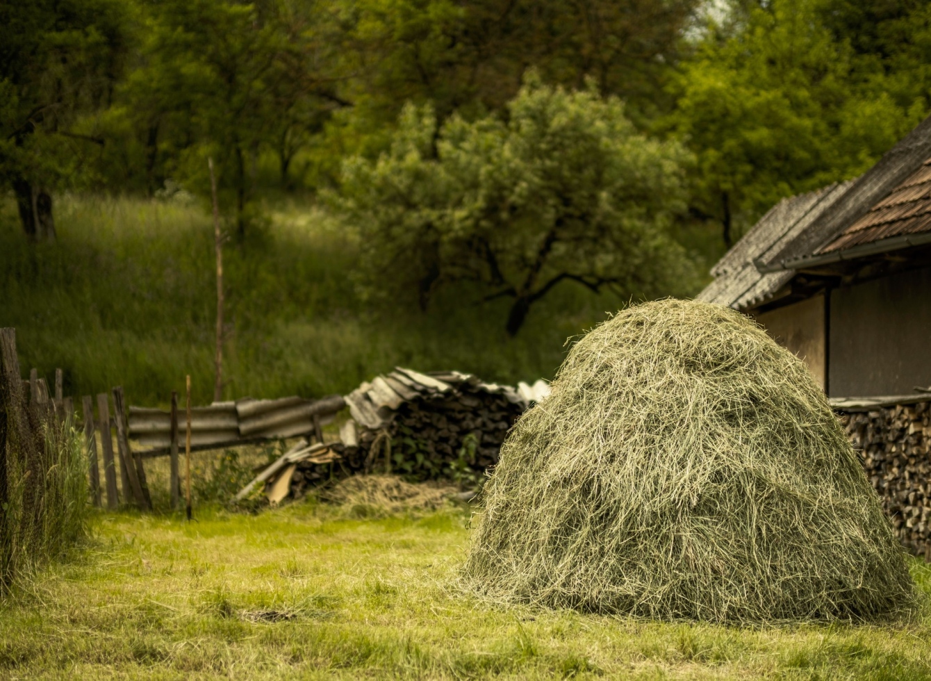Informacija Ukmergės mieste esančių nesutvarkytų žemių sklypų savininkams