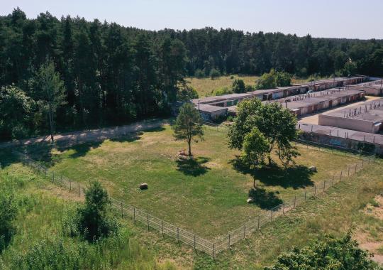 Pagalba prekybos žmonėmis nusikaltimų aukoms
