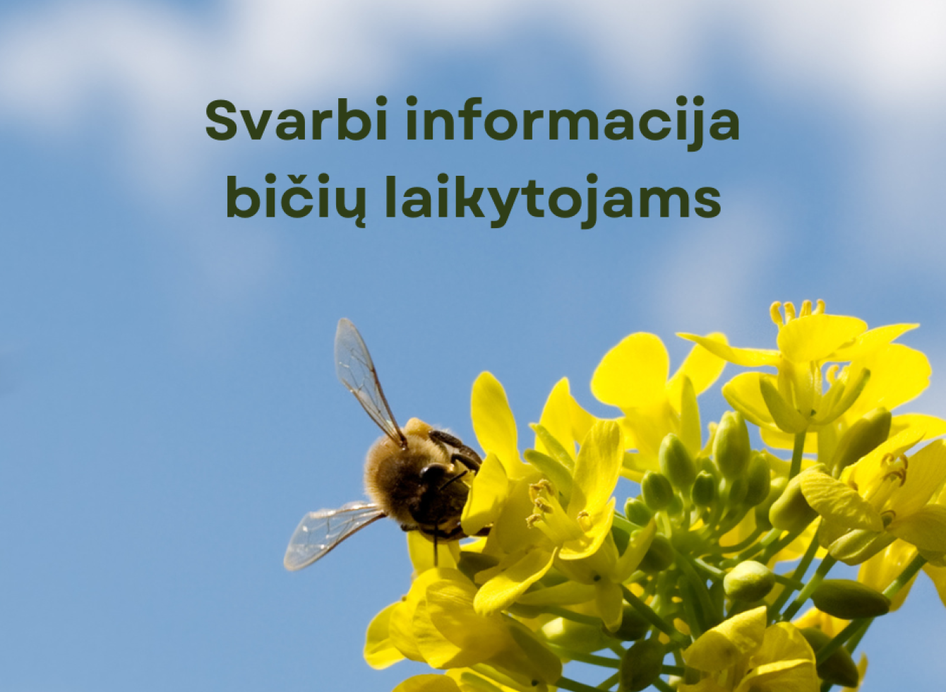Svarbi informacija bičių laikytojams