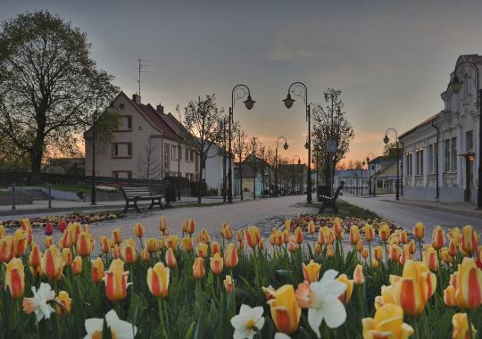 Žiedo gatvės atkarpoje bus uždraustas transporto eismas