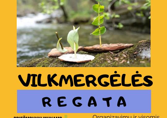 Vilkmergėlės regata