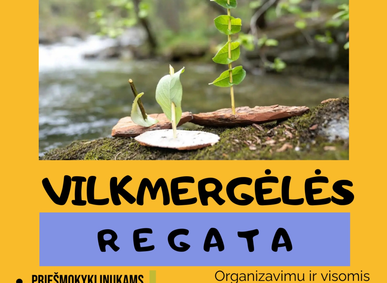 Vilkmergėlės regata