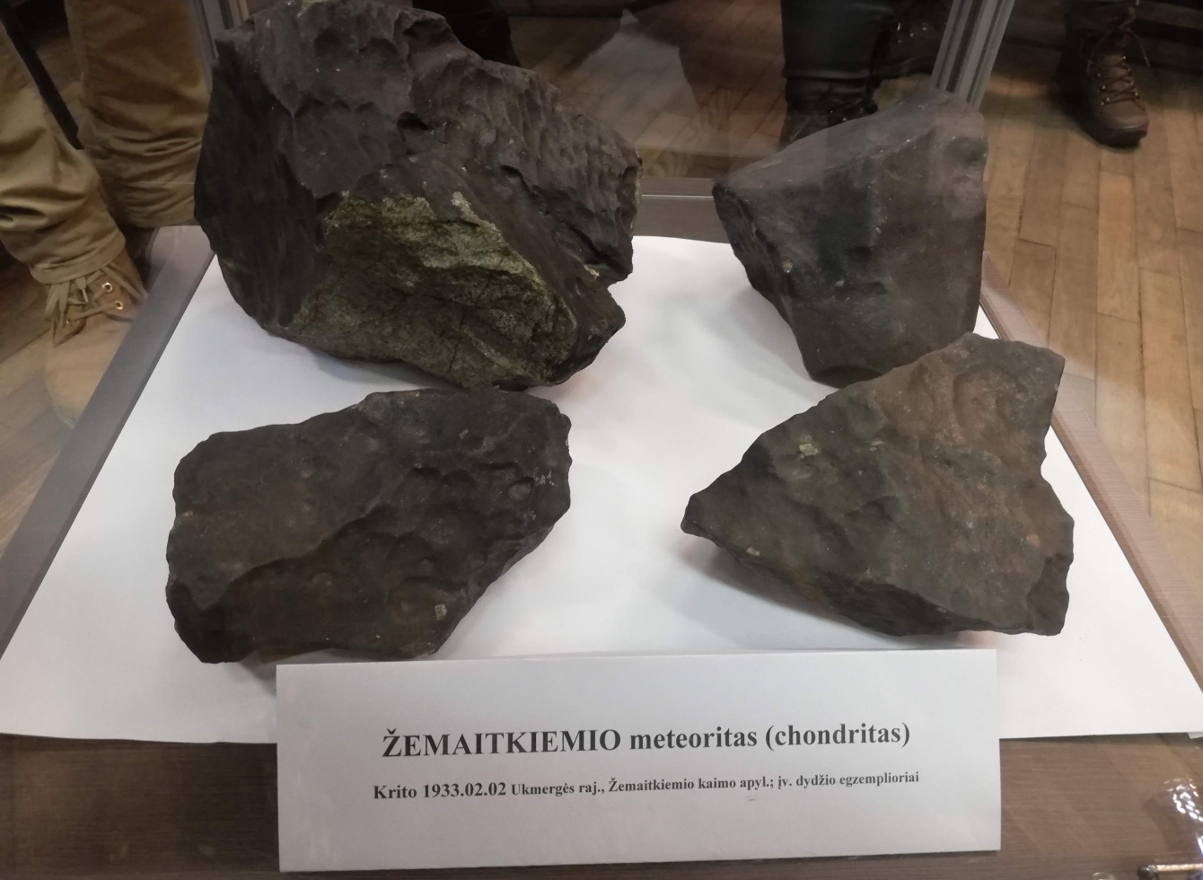 Muziejuje