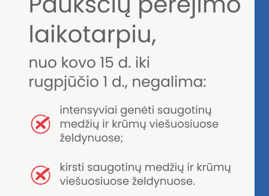 Paukščiai peri - saugokime lizdus