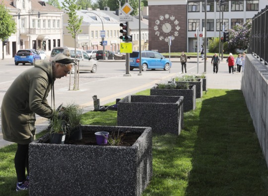 Miesto centre buvusį rožyną pakeitė betoninės gėlynės
