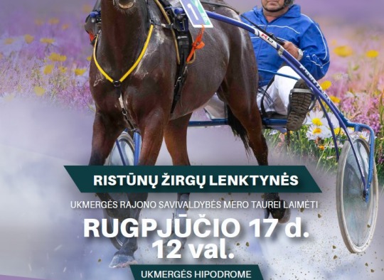 Ristūnų žirgų lenktynės