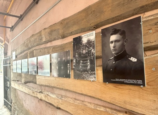 Paroda „Bromos galerijoje“ (Vienuolyno g. 17)