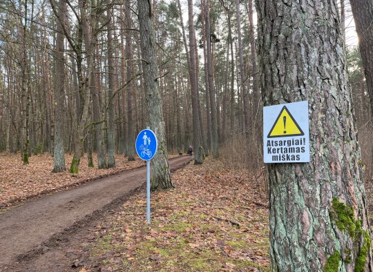 Miškininkai tvarko „Šilo“ sveikatingumo trasą