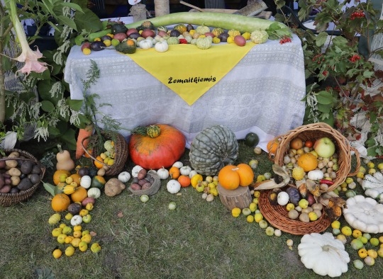 Lyduokiuose šurmuliavo net du kermošiai: „Aniuolų sargų“ ir „Mykoliuko“
