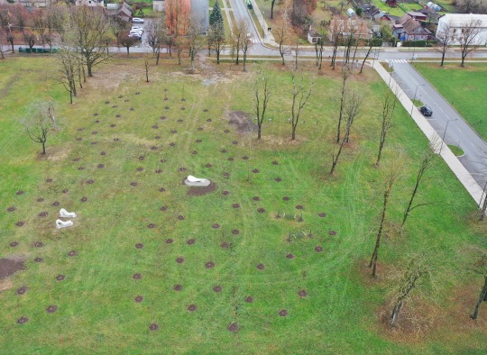 „Rojaus sodą“ Ukmergėje įveisė MB „Gyvis“